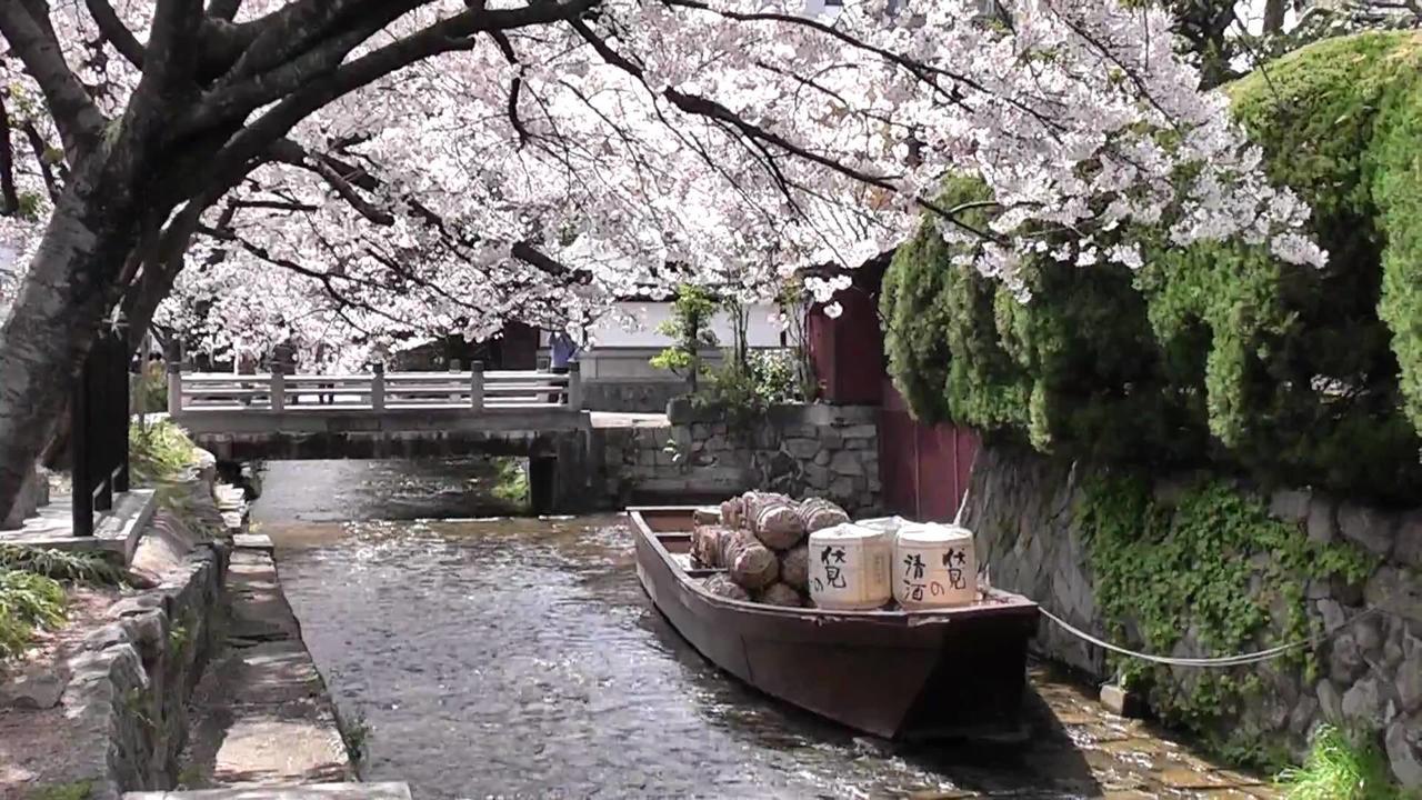 Kyoto Miyabi Hotel Kültér fotó